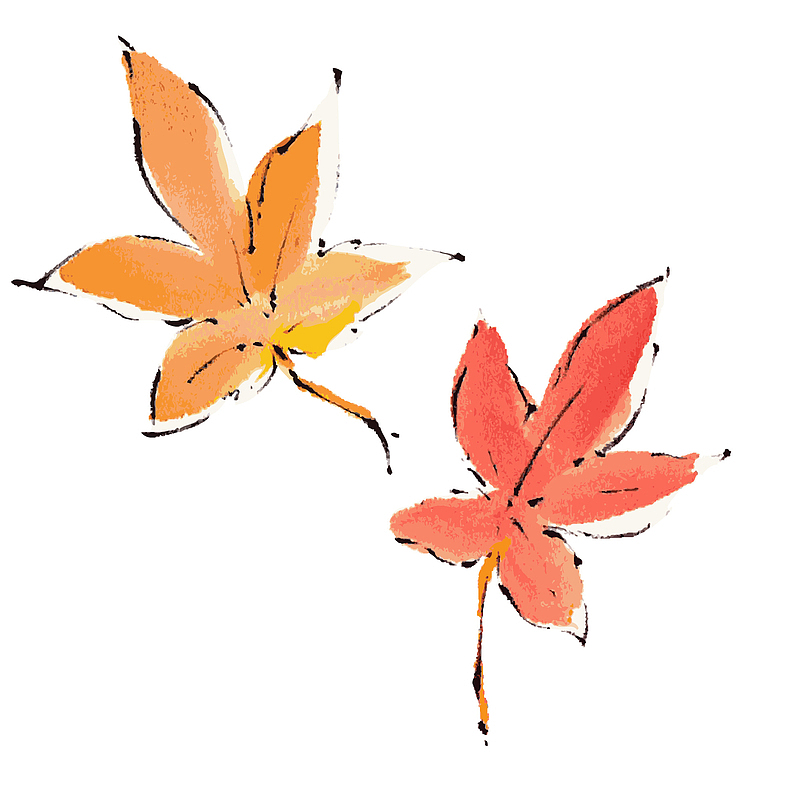两片秋天的水彩枫叶