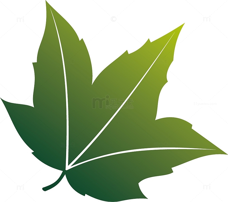 矢量绿色植物设计枫叶创意图标