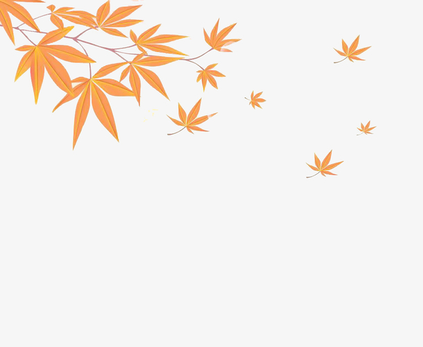 枫叶素材免费下载_觅元素