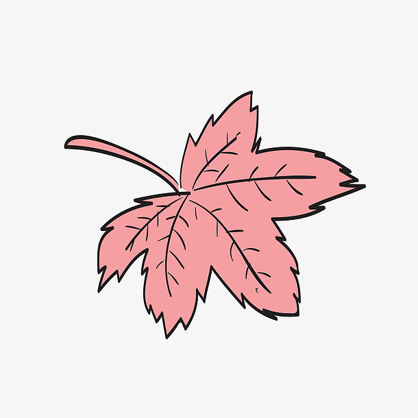 红色的卡通枫叶