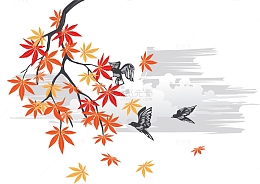 秋天夜晚美丽枫叶