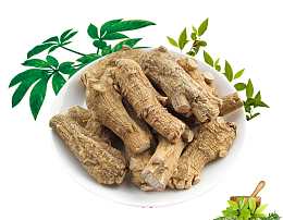 一盘子人参根