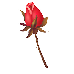矢量手绘红色玫瑰花