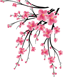 中国风粉色鲜花梅花