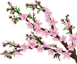 矢量图粉色梅花花瓣