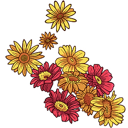 矢量手绘装饰菊花素材