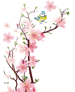 中国风粉色美丽的梅花