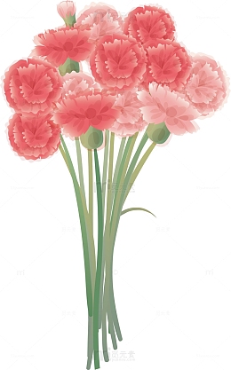 手绘教师节花束