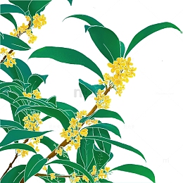 手绘装饰桂花素材