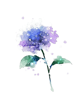 手绘鲜花