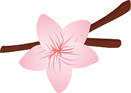 矢量图一朵梅花鲜花