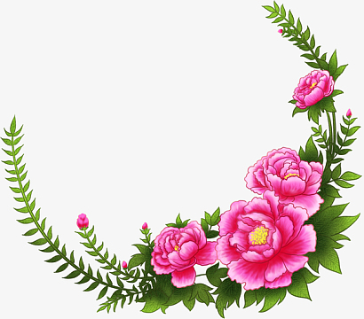 手绘牡丹花装饰图案