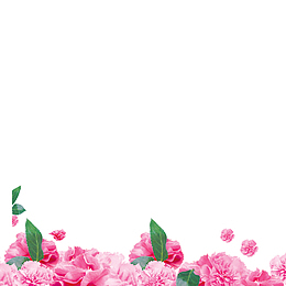 鲜花丛