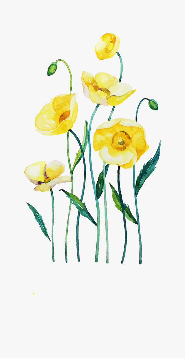 唯美手绘鲜花免抠素材免费下载_觅元素51yuansu.com