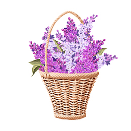 装满紫丁香的花篮矢量图
