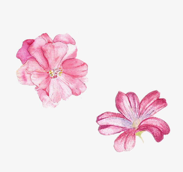关键词 : 水粉画,水彩颜料,粉色,唯美,鲜花,手绘花朵,免抠png[声明]