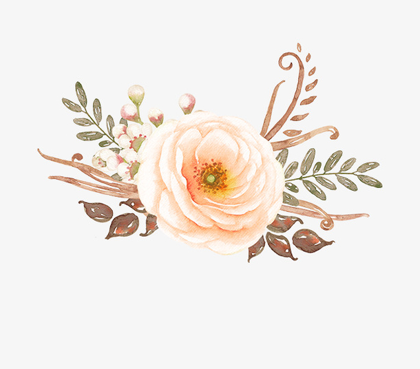 关键词 : 手绘画,鲜花,花朵,矢量图,装饰,矢量装饰