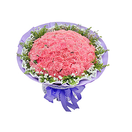 粉红色玫瑰花设计素材