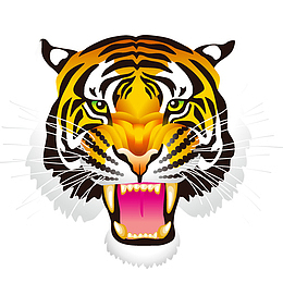 卡通虎头