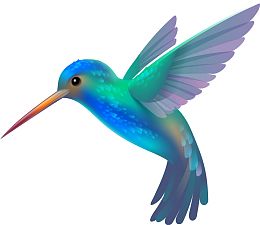 梦幻蜂鸟装饰图案