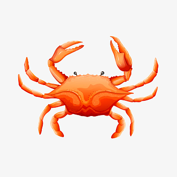 png矢量线条卡通海鲜(4167x4167)png精美海鲜矢量元素(1667x771)aipng