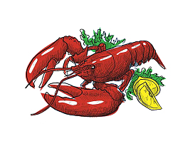 手绘麻辣大龙虾插画免抠