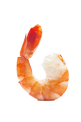 简单素雅美味美食红虾仁免抠图