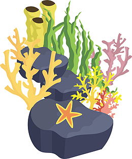 立体海底珊瑚海草