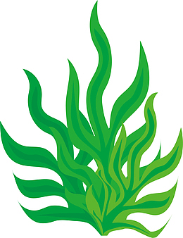 绿色清新扭动海草