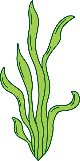 绿色清新扭动海草
