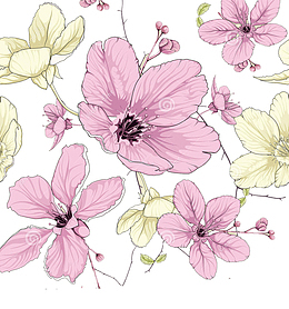 樱花节婚庆花卉美丽花卉