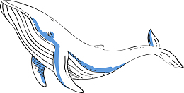 世界海洋日手绘白色鲸鱼