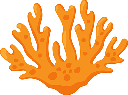 橙色卡通大海珊瑚