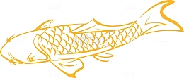 海洋生物金色鲤鱼图
