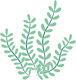 绿色清新扭动海草