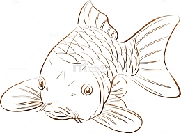 卡通可爱鲤鱼矢量图