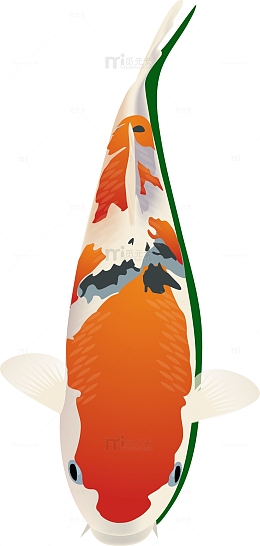 卡通彩色鲤鱼素材图