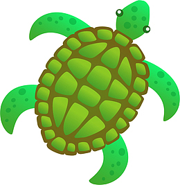 海洋生物绿色海龟