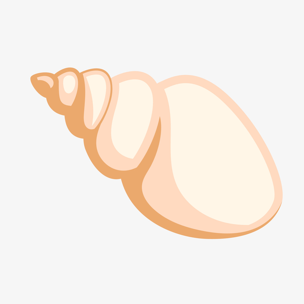 矢量扁平白色海螺