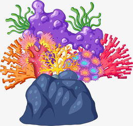 世界海洋日一丛珊瑚