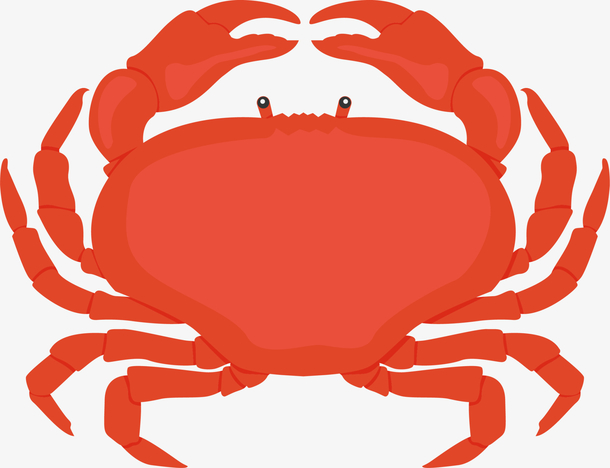 世界海洋日红色面包蟹