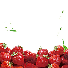 免抠红色新鲜草莓树叶装饰