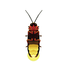 卡通萤火虫插画