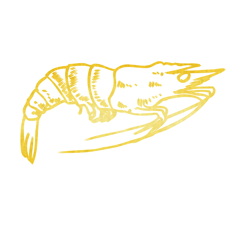 手绘金色小龙虾设计素材