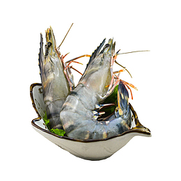 营养海虾设计素材