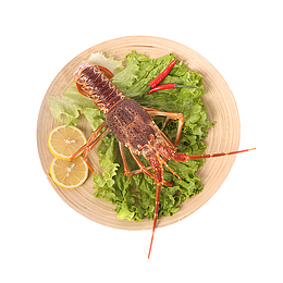 大龙虾美食设计素材