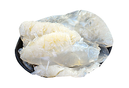 特产野生海蜇素材