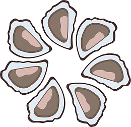 简约鲍鱼海鲜卡通手绘