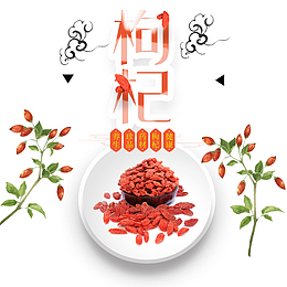 唯美卡通手绘枸杞平面装饰