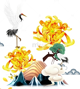 中国风手绘重阳菊花松鹤插画